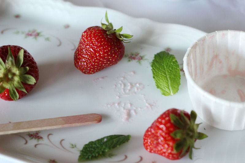 Erdbeerwoche Tag 2 - Erdbeersuppe und Erdbeer-Ricotta Popsicles 21