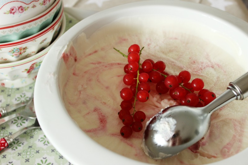Johannisbeer-Joghurt Eis mit Holunderblütensirup 19