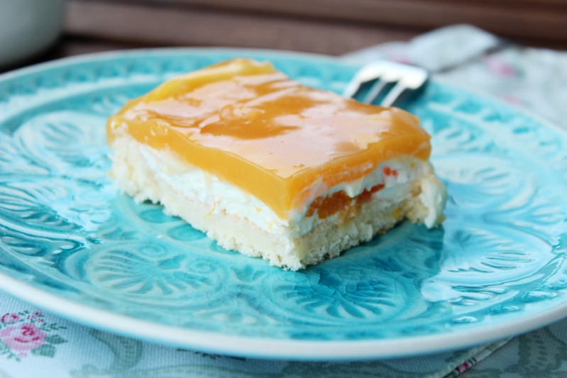 Tropical Biscuit Bars 15